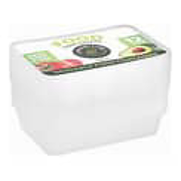 Lemon & Lime Reusable Food Container 500mL x 12